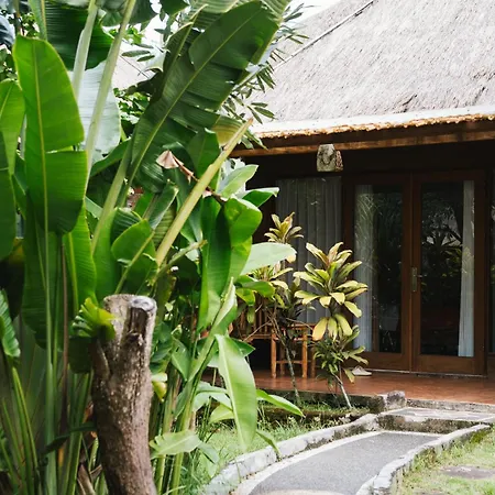 Olo Surf Nature